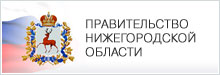 Правительство Нижегородской области